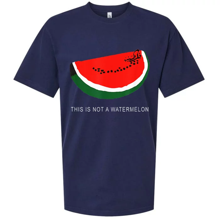 Watermelon 'This is Not a Watermelon' Palestine Collection Sueded Cloud Jersey T-Shirt