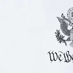 WE THE PEOPLE AMERICAN BALD EAGLE SEAL FLAG US CONSTITUTION Softstyle Adult Sport Polo