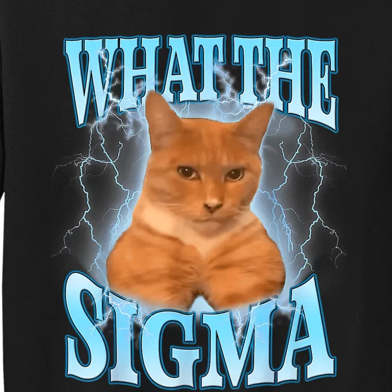 What The Sigma Meme Cat Erm What The Sigma Meme Cat Ironic Brainrot Sweatshirt