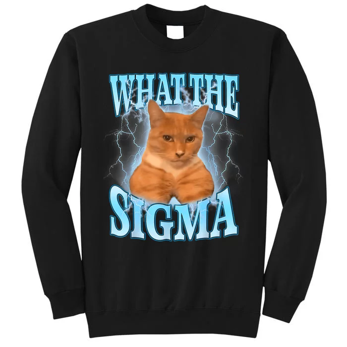 What The Sigma Meme Cat Erm What The Sigma Meme Cat Ironic Brainrot Tall Sweatshirt