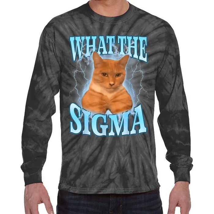 What The Sigma Meme Cat Erm What The Sigma Meme Cat Ironic Brainrot Tie-Dye Long Sleeve Shirt