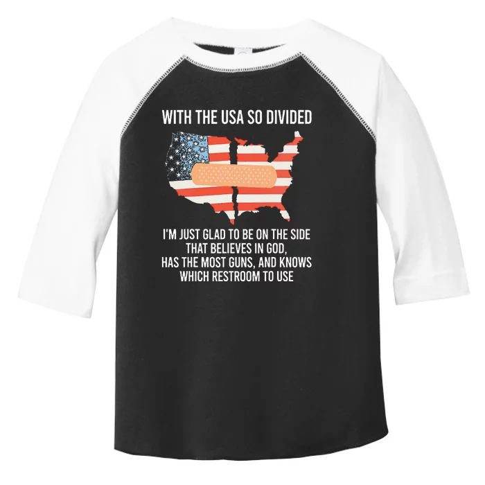 With The Usa So Divided America Flag Toddler Fine Jersey T-Shirt