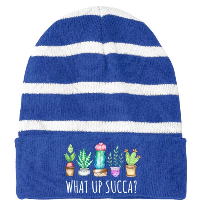 What Up Succa Succulent Cactus Aloe Plant Mom Gift Echeveria Gift Striped Beanie with Solid Band