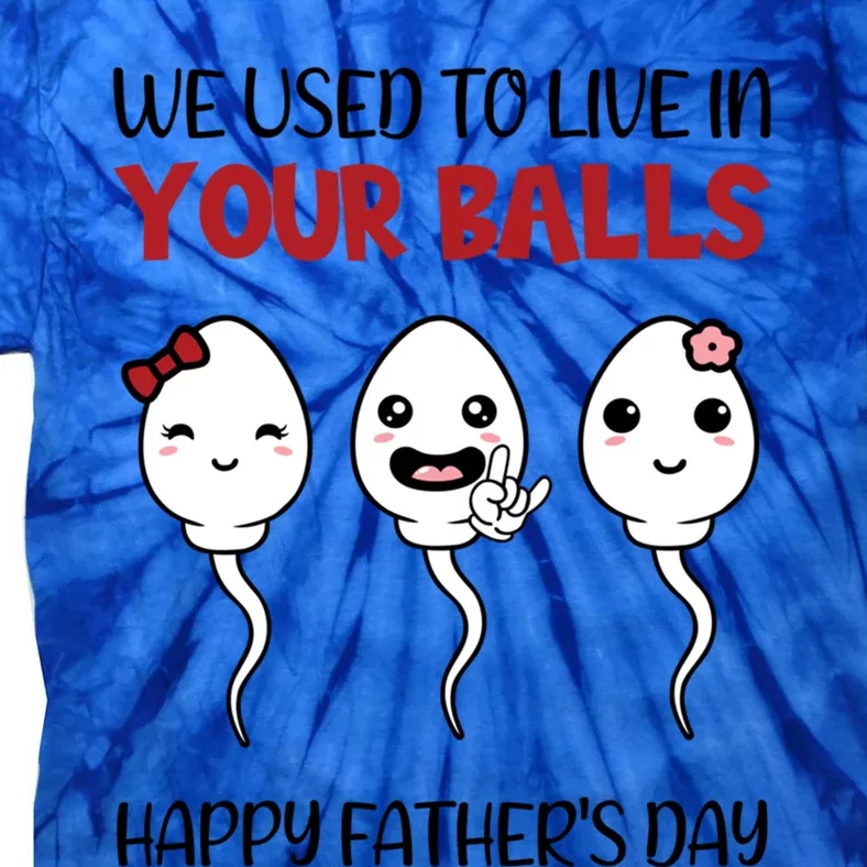 We Used To Live In Your Ball Happy Fathers Day Funny Gift Tie-Dye T-Shirt