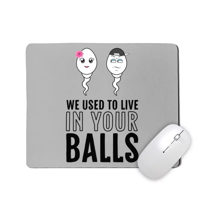 We Used To Live In Your Balls Fathers Day 1 1 Sperm Gift Mousepad