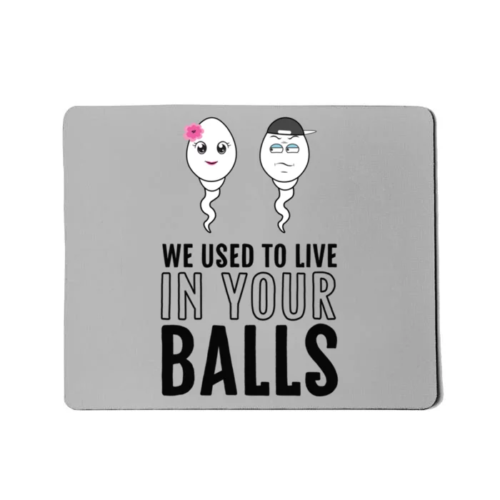 We Used To Live In Your Balls Fathers Day 1 1 Sperm Gift Mousepad