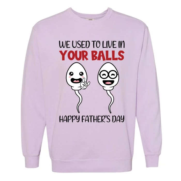 We Used To Live In Your Ball Happy Fathers Day Funny Cute Gift Garment-Dyed Sweatshirt