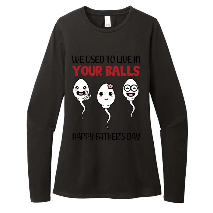 We Used To Live In Your Ball Happy Fathers Day Funny Gift Womens CVC Long Sleeve Shirt