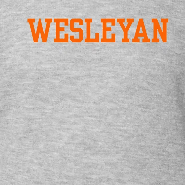 West Virginia Wesleyan College Toddler Sweatshirt