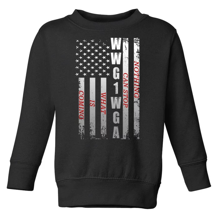 WWG1WGA Nothing Can Stop What Is Coming Toddler Sweatshirt