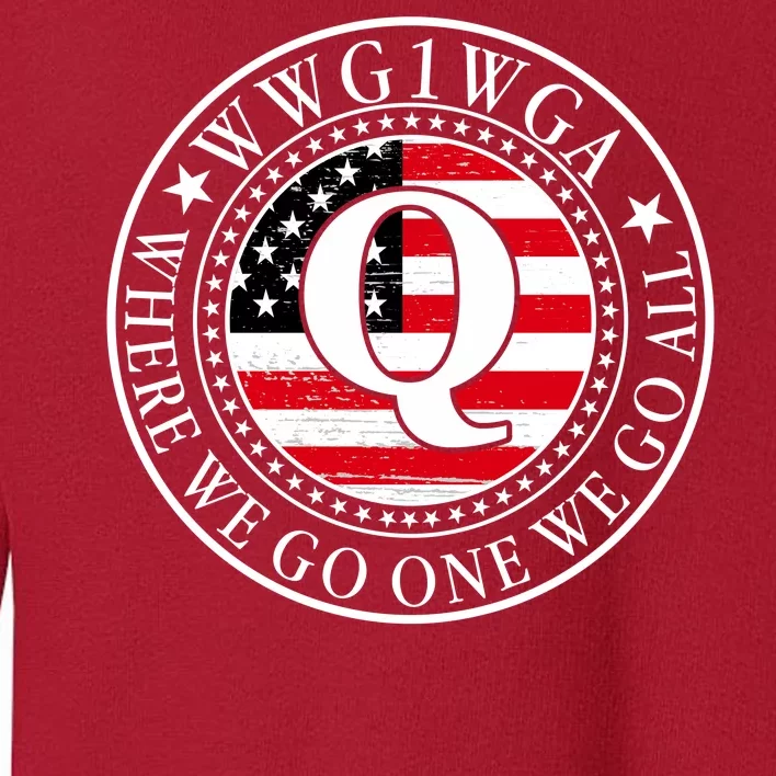 WWG1WGA Qanon Flag Emblem Toddler Sweatshirt