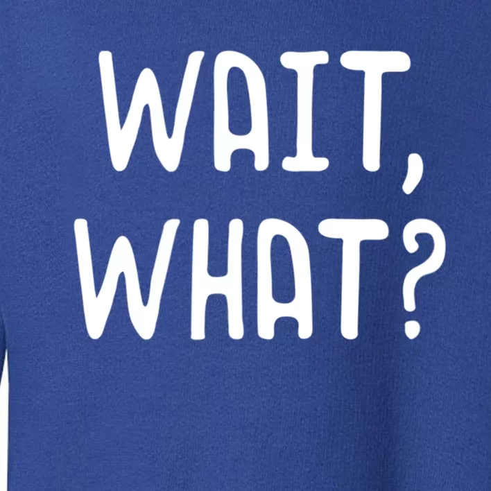 Wait What? Great Gift Popular Slang Quote Gift For Teens Meaningful Gift Toddler Sweatshirt