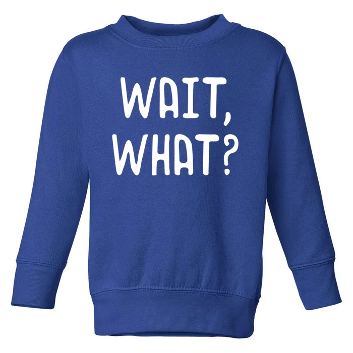 Wait What? Great Gift Popular Slang Quote Gift For Teens Meaningful Gift Toddler Sweatshirt