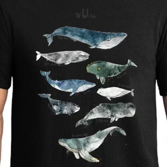 Whales Pajama Set