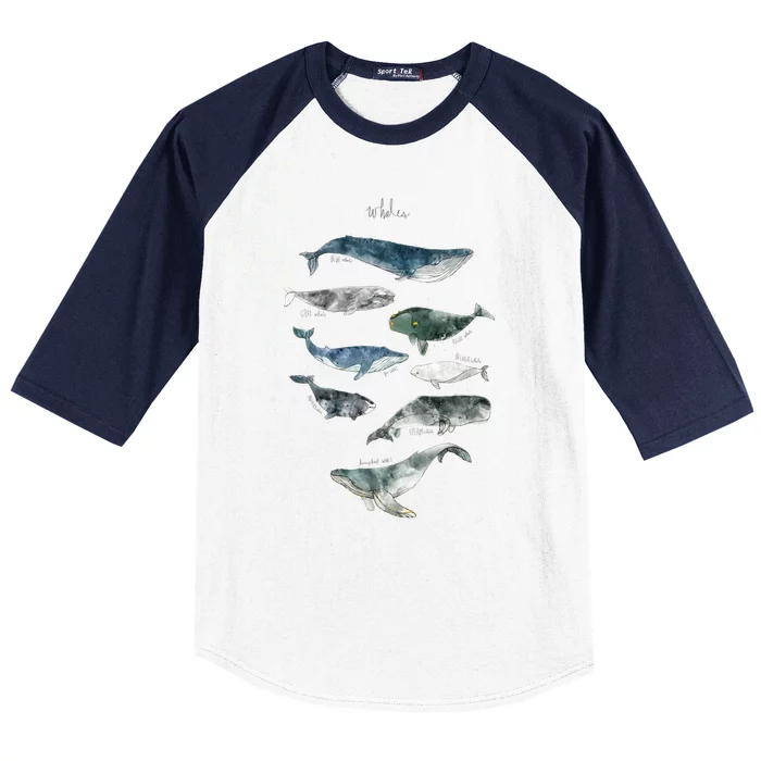 Whales Baseball Sleeve Shirt