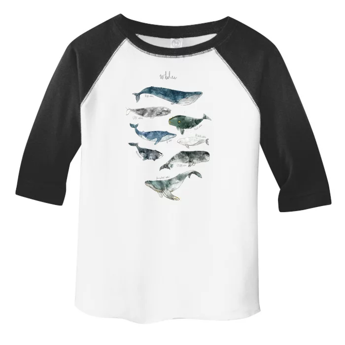 Whales Toddler Fine Jersey T-Shirt