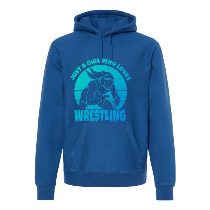 Wrestling Wrestler I Just A Who Loves Wrestling Gift Premium Hoodie