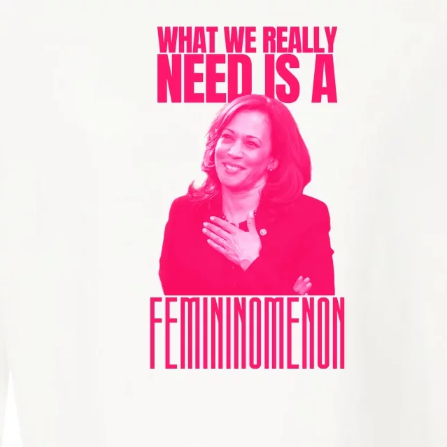 What We Really Need Is A Femininomenon Kamala Harris 2024 Cropped Pullover Crew