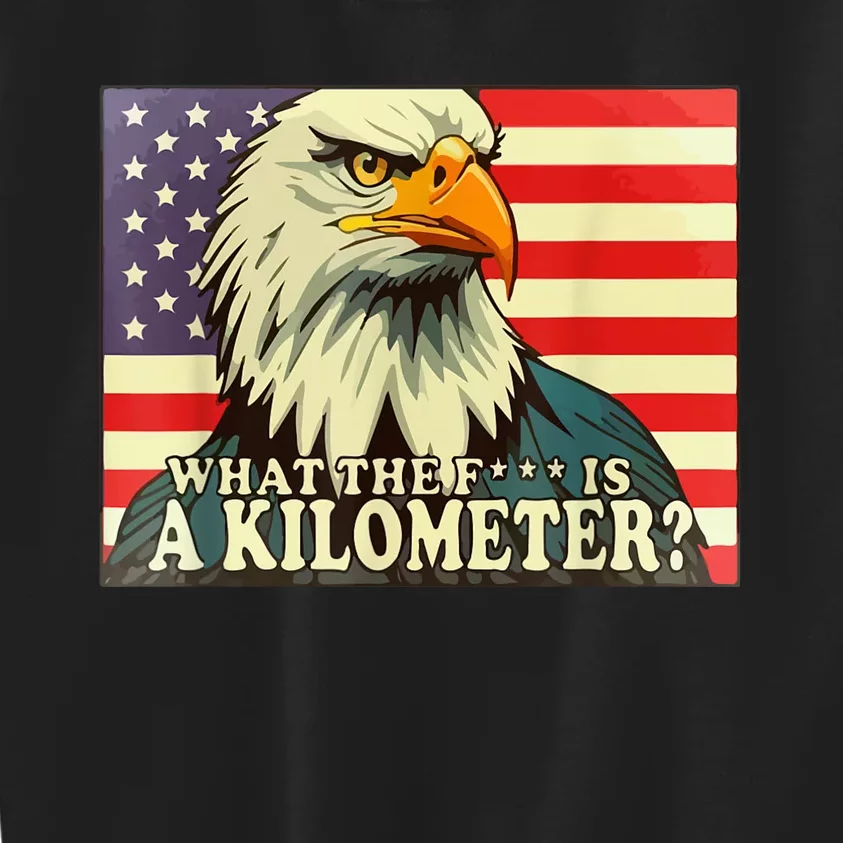 WTF What The Fuck Is A Kilometer George Washington July 4th Kids Sweatshirt