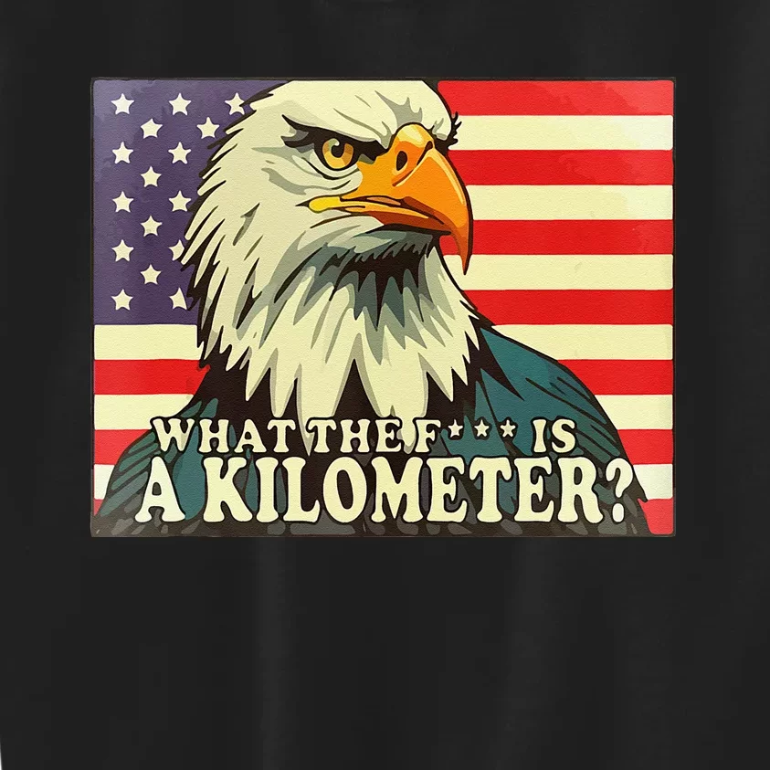 WTF What The Fuck Is A Kilometer George Washington July 4th Kids Sweatshirt