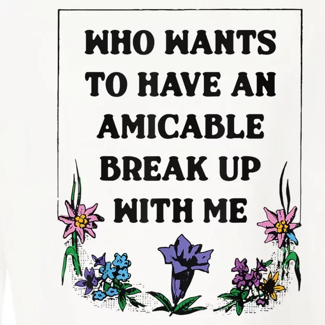 Who Wants To Have An Amicable Break Up With Me Cropped Pullover Crew