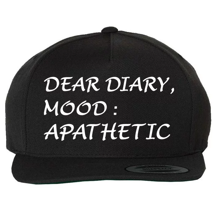 When We Were Young Dear Diary Mood Apathetic Wool Snapback Cap