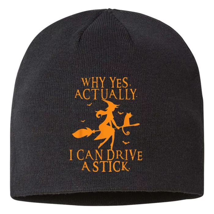 Why Yes Actually I Can Drive A Stick Halloween Witch & Cat 8 1/2in Sustainable Knit Beanie