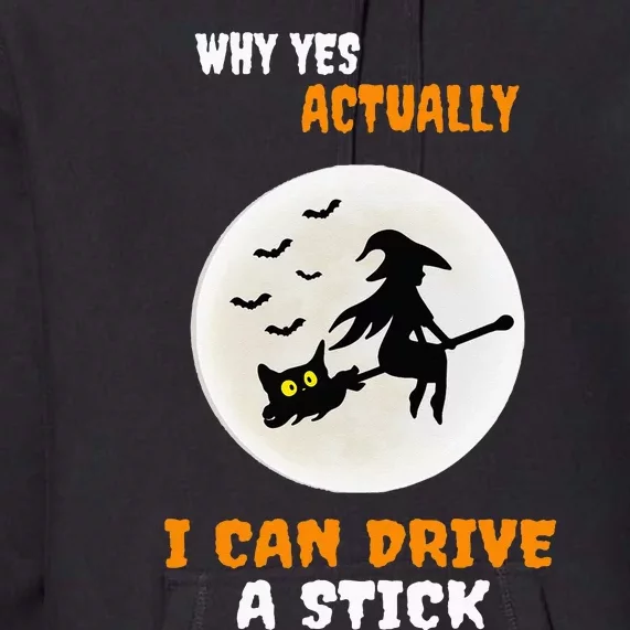 Why Yes Actually I Can Drive A Stick Halloween Witch & Cat Premium Hoodie