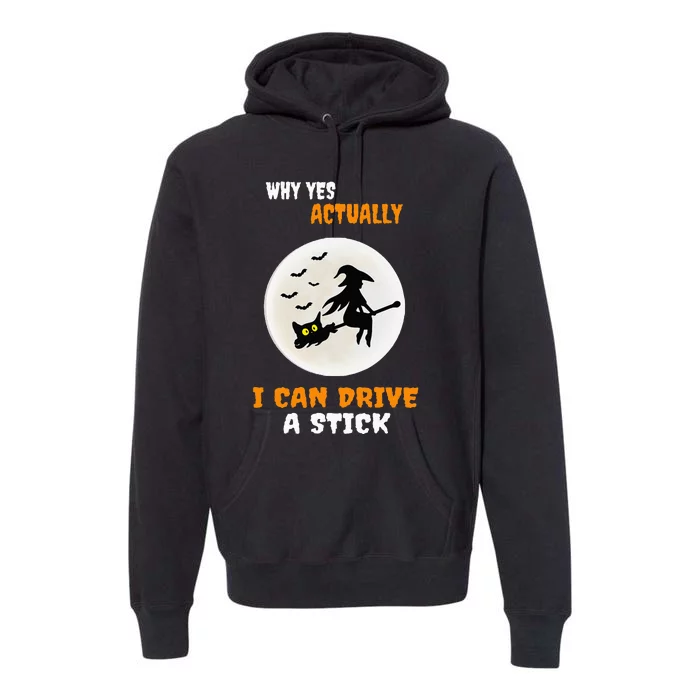 Why Yes Actually I Can Drive A Stick Halloween Witch & Cat Premium Hoodie