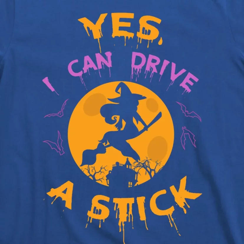 Witch Yes I Can Drive A Stick For Halloween Party Costume Gift T-Shirt