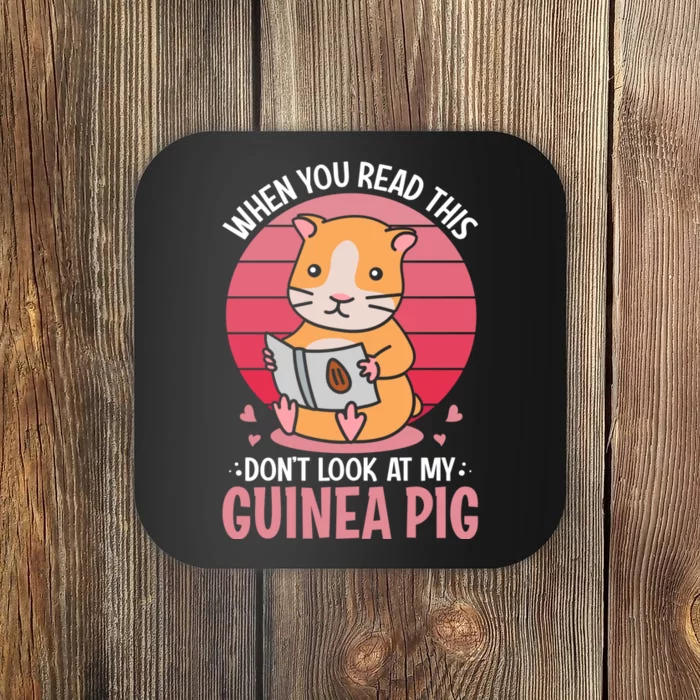 When You Read This Dont Look At My Guinea Pig Coaster