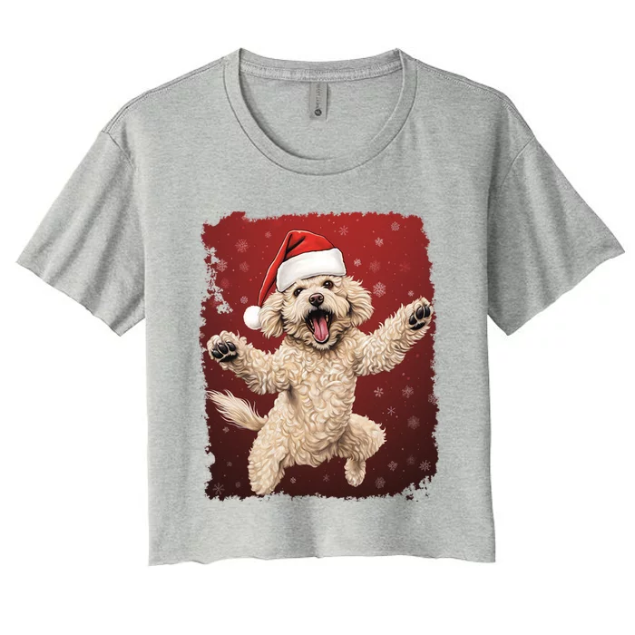 Xmas Dog Poodle Christmas Great Gift Women's Crop Top Tee