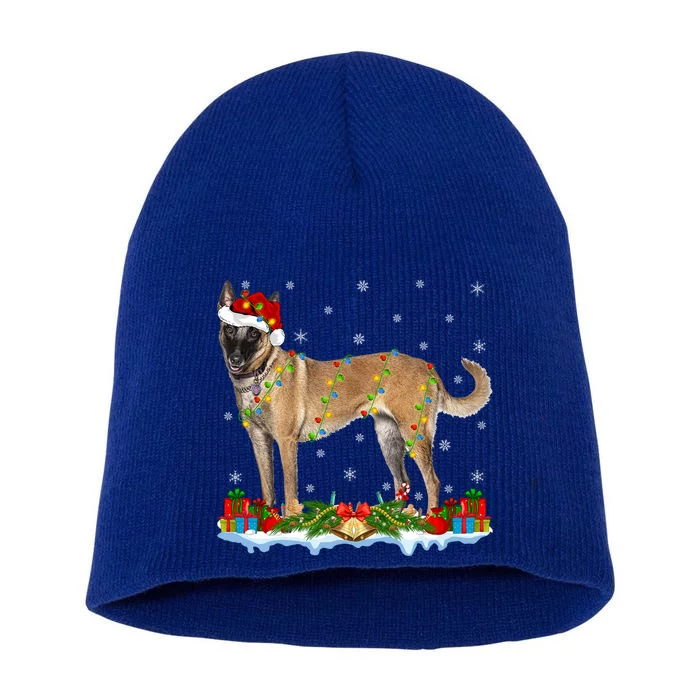 Xmas Family Matching Santa Hat Belgian Malinois Christmas Gift Short Acrylic Beanie