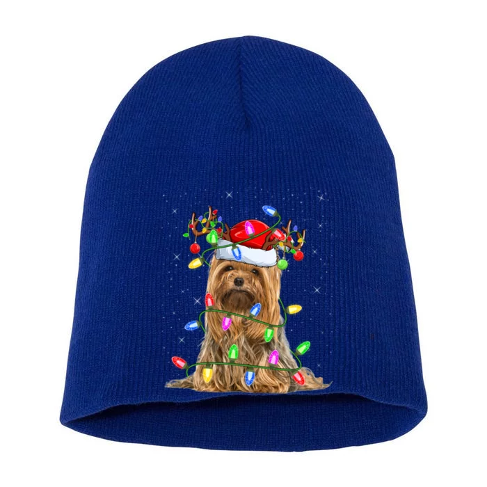 Xmas Holiday Lighting Santa Yorkshire Terrier Dog Christmas Great Gift Short Acrylic Beanie