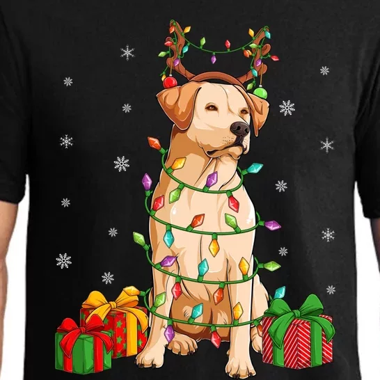 Xmas Lighting Reindeer Hat Labrador Retriever Christmas Cool Gift Pajama Set