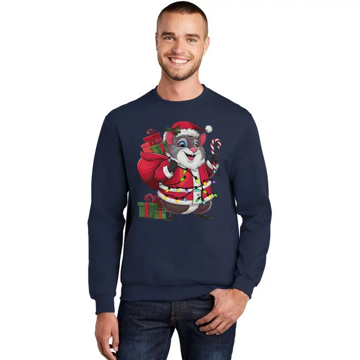 Xmas Lighting Santa Common Degu Christmas Sweatshirt