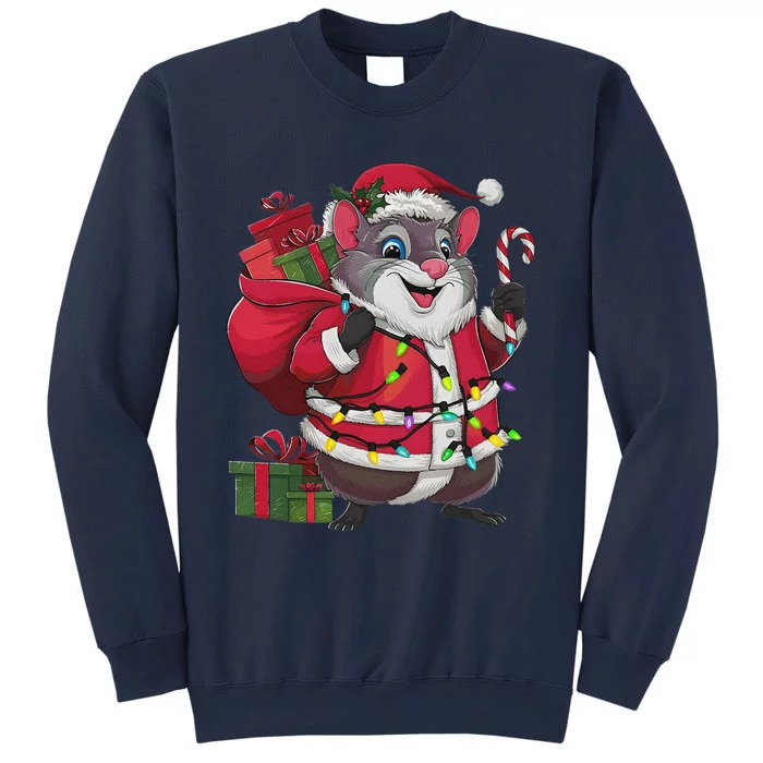 Xmas Lighting Santa Common Degu Christmas Sweatshirt