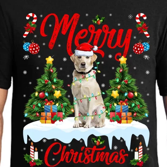 Xmas Lighting Santa Hat Labrador Retriever Dog Christmas Gift Pajama Set