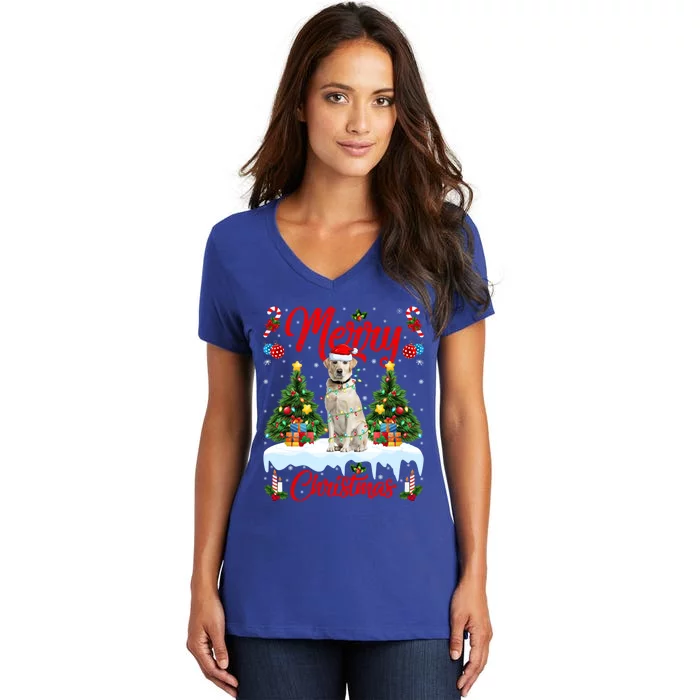 Xmas Lighting Santa Hat Labrador Retriever Dog Christmas Gift Women's V-Neck T-Shirt