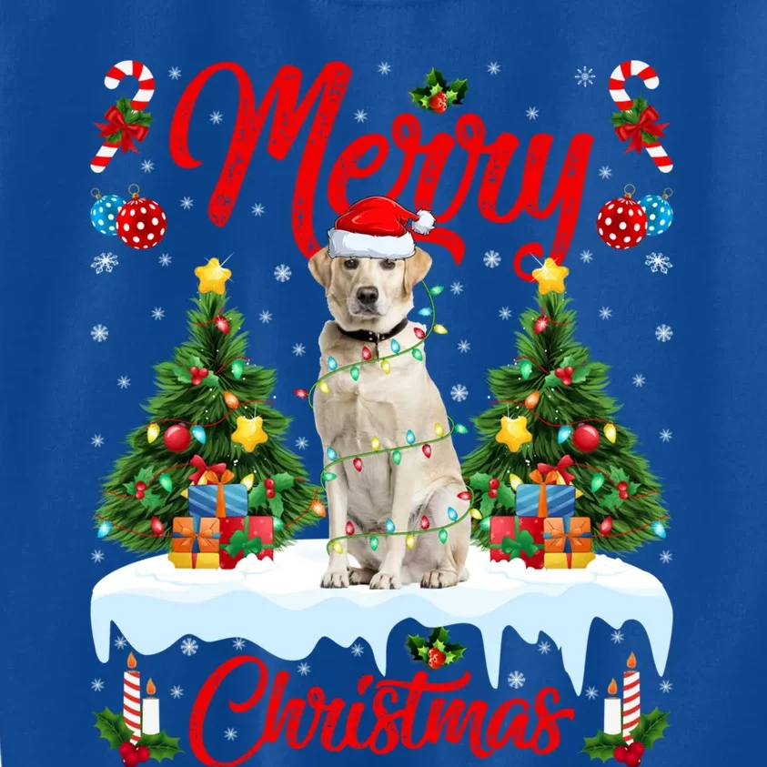 Xmas Lighting Santa Hat Labrador Retriever Dog Christmas Gift Kids Sweatshirt