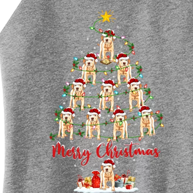 Xmas Lights Santa Labrador Retriever Dog Christmas Tree Gift Women’s Perfect Tri Rocker Tank