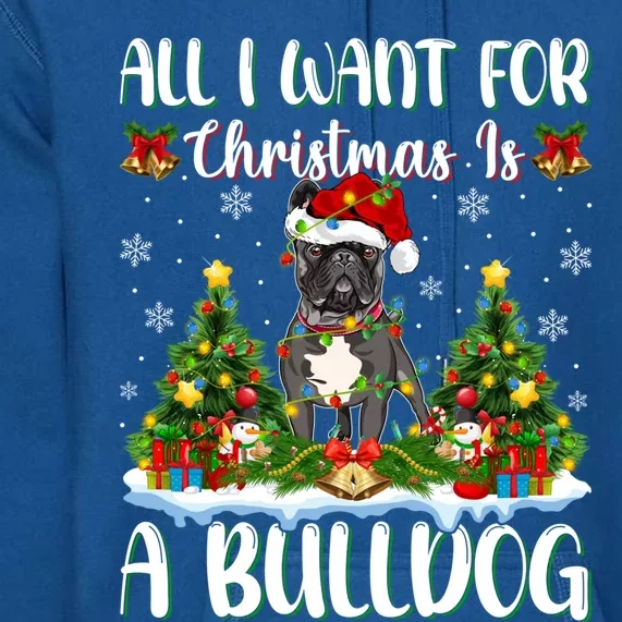 Xmas Lighting Santa All I Want For Christmas Is A Bulldog Gift Premium Hoodie