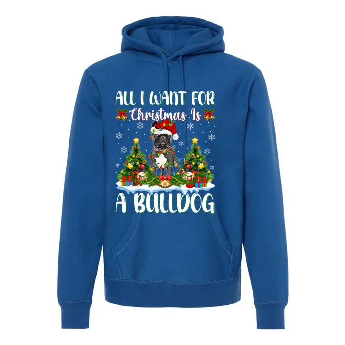 Xmas Lighting Santa All I Want For Christmas Is A Bulldog Gift Premium Hoodie