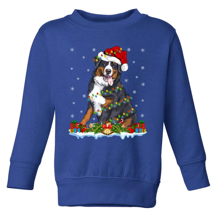 Xmas Lighting Santa Bernese Mountain Dog Christmas Gift Toddler Sweatshirt