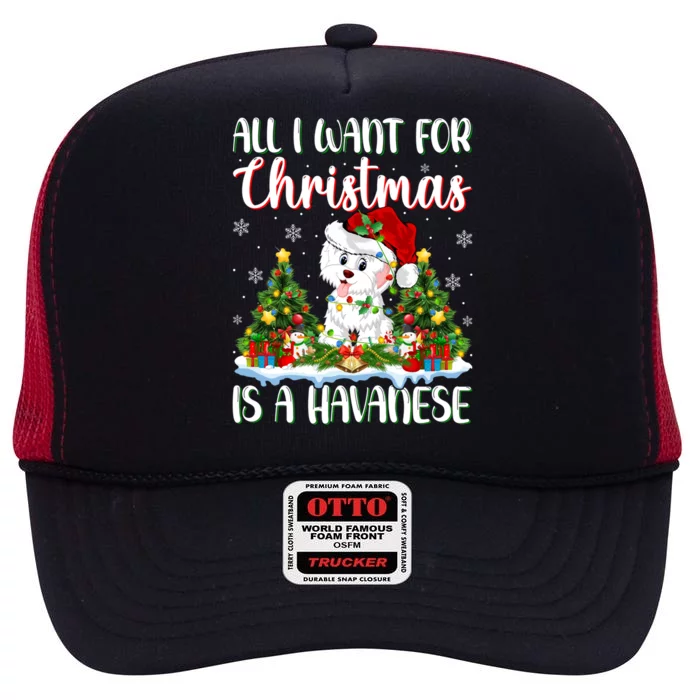 Xmas Lighting Santa All I Want For Christmas Is A Havanese Cool Gift High Crown Mesh Trucker Hat