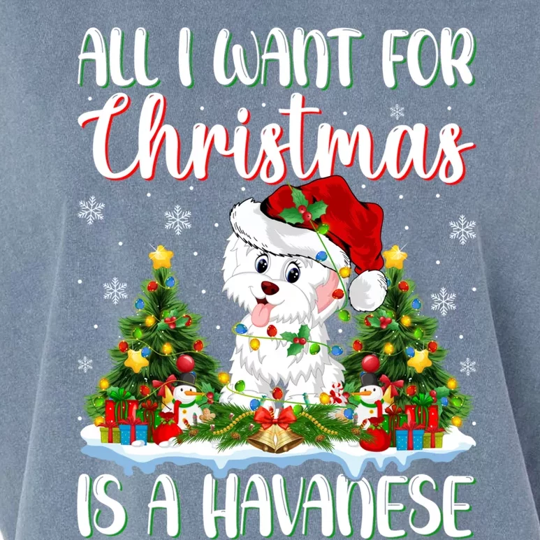 Xmas Lighting Santa All I Want For Christmas Is A Havanese Cool Gift Garment-Dyed Women's Muscle Tee