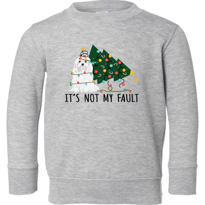 Xmas Tree Lights It Is Not My Fault Maltese Dog Christmas Gift Toddler Sweatshirt