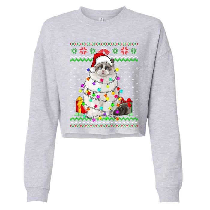 Xmas Ugly Sweater Christmas Lights Cat Kitten Lover Cute Gift Cropped Pullover Crew