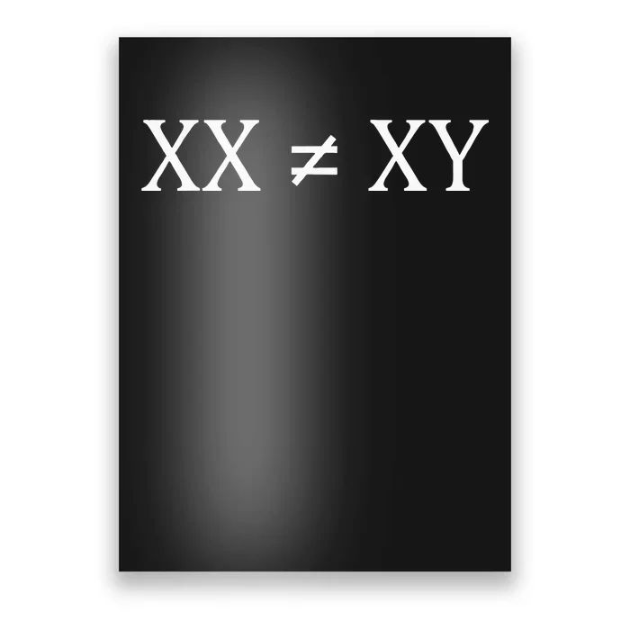 Xx Xy Poster