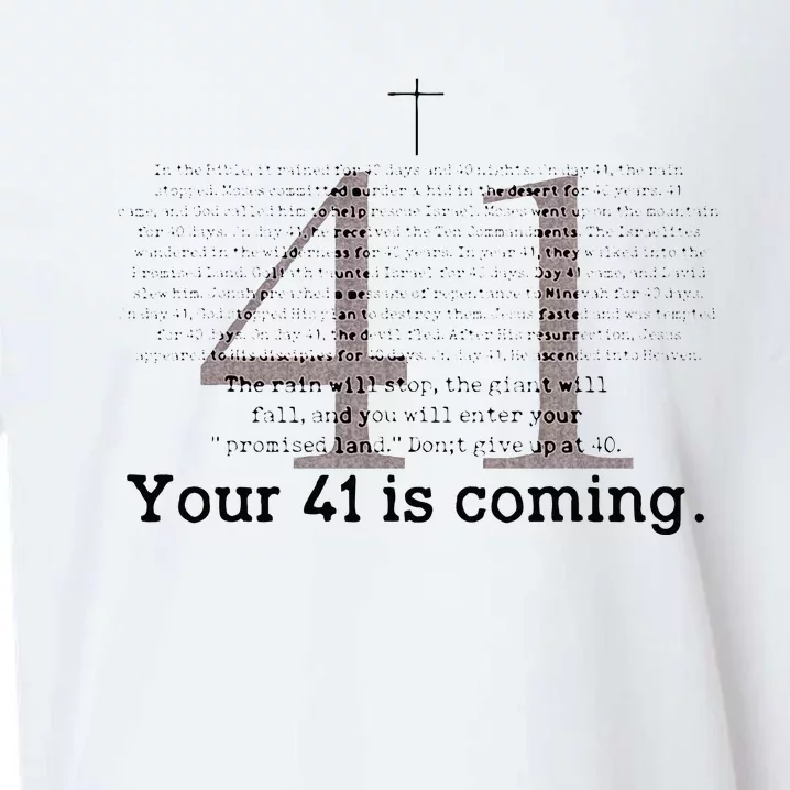 Your 41 Is Coming Sueded Cloud Jersey T-Shirt